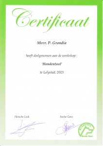 Workshop hondentaal Workshop hondentaal