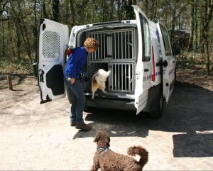 Hondenuitlaatservice bus met kennels